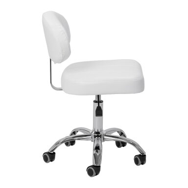GIOVANNI professional master chair for beauty salons Y08, white