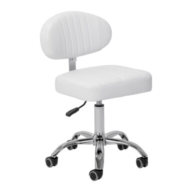 GIOVANNI professional master chair for beauty salons Y08, white