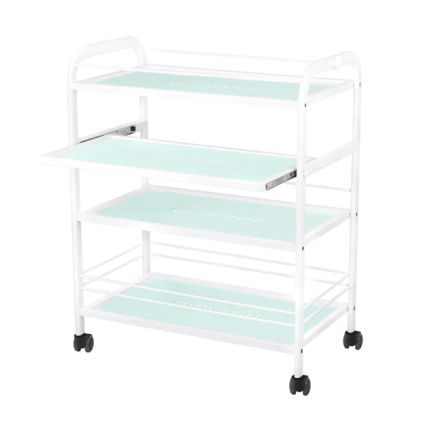GIOVANNI CLASSIC TYP 1015 professional cosmetology trolley with pull-out shelf + lamp hole 2