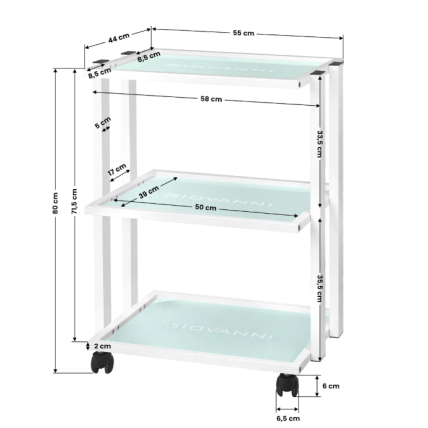 GIOVANNI CLASSIC TYP 1041 professional cosmetology trolley with a wide surface with a place for lamps and magnifiers 5
