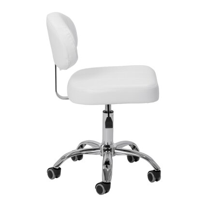 GIOVANNI professional master chair for beauty salons Y08, white 1