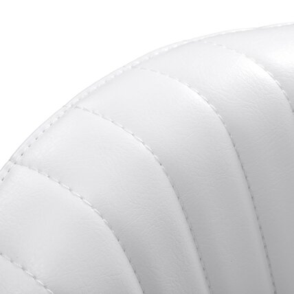 GIOVANNI professional master chair for beauty salons Y08, white 5 GIOVANNI professional master chair for beauty salons Y08, white 5