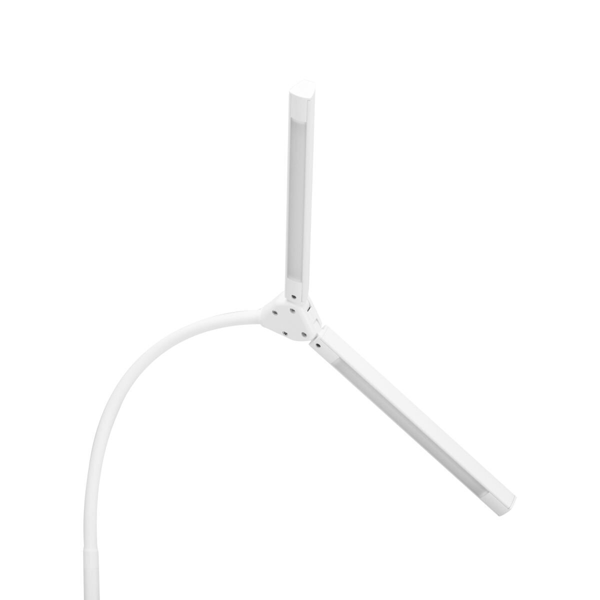 Profesionali lempa kosmetologams LED DUAL GLOW 6019 5 Profesionali lempa kosmetologams LED DUAL GLOW 6019 5