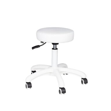 Professional master chair AM-303-2, white color Professional master chair AM-303-2, white color