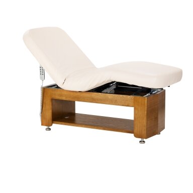Profesionalus masažo ir SPA gultas SILLON LEISURE, smėlio spalvos Profesionalus masažo ir SPA gultas SILLON LEISURE, smėlio spalvos