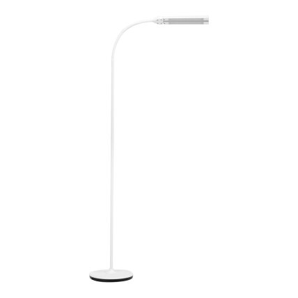 Profesionali lempa kosmetologams LED DUAL GLOW 6019 2
