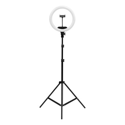Profesionali makiažo lempa RING LIGHT 13"" LED su stovu, 36W 1