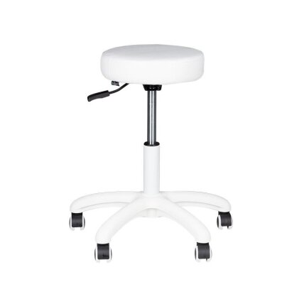 Professional master chair AM-303-2, white color 2