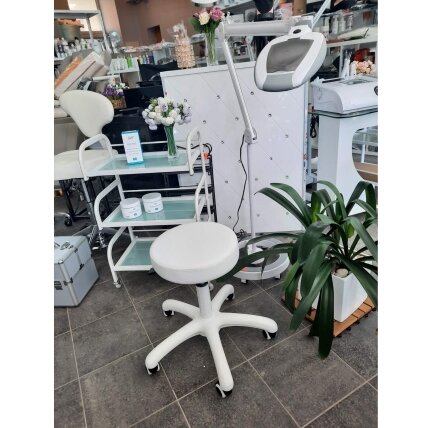 Professional master chair AM-303-2, white color 4