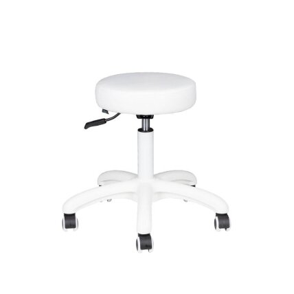 Professional master chair AM-303-2, white color