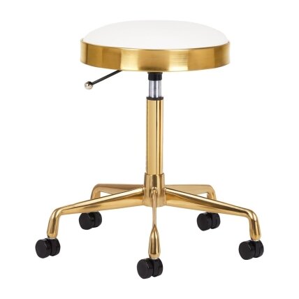 Professional masters chair for beauticians and beauty salons H7, white seat with golden foot Professional masters chair for beauticians and beauty salons H7, white seat with golden foot