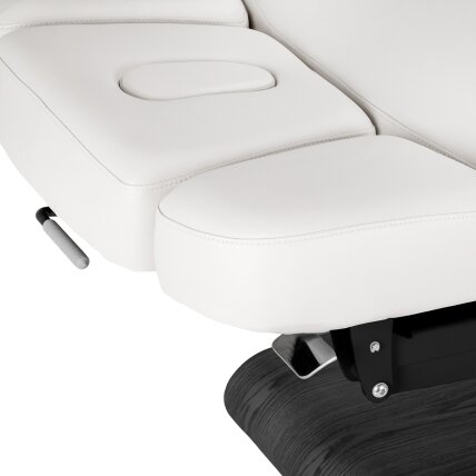 Profesionalus elektrinis masažo ir SPA gultas SILLON RELAX, baltos spalvos su juodu pagrindu 8