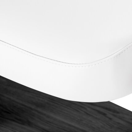 Profesionalus elektrinis masažo ir SPA gultas SILLON RELAX, baltos spalvos su juodu pagrindu 9