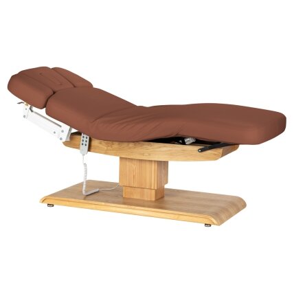 Profesionalus elektrinis masažo ir SPA gultas SILLON RELAX, rudos spalvos su šviesiu pagrindu Profesionalus elektrinis masažo ir SPA gultas SILLON RELAX, rudos spalvos su šviesiu pagrindu