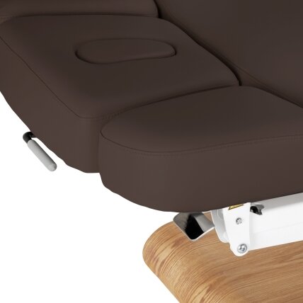 Profesionalus elektrinis masažo ir SPA gultas SILLON RELAX, rudos spalvos su šviesiu pagrindu 8 Profesionalus elektrinis masažo ir SPA gultas SILLON RELAX, rudos spalvos su šviesiu pagrindu 8