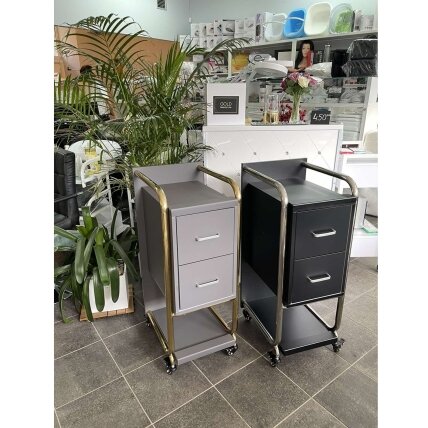Professional  beauty salon trolley GABBIANO SOLO, black with silver frame 4