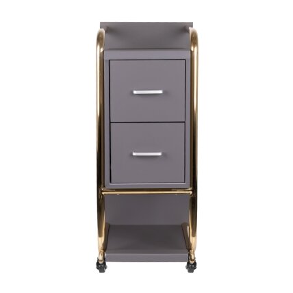 Professional beauty salon trolley GABBIANO SOLO, gray with gold frame 2