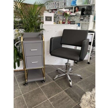 Professional beauty salon trolley GABBIANO SOLO, gray with gold frame 4 Professional beauty salon trolley GABBIANO SOLO, gray with gold frame 4