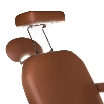 Professional bed-massage table SPA & WELLNESS 2009, brown color 3 Professional bed-massage table SPA & WELLNESS 2009, brown color 3