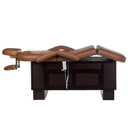 Professional bed-massage table SPA & WELLNESS 2009, brown color 5 Professional bed-massage table SPA & WELLNESS 2009, brown color 5