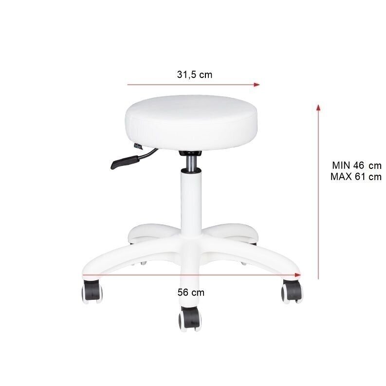 Professional master chair AM-303-2, white color 5