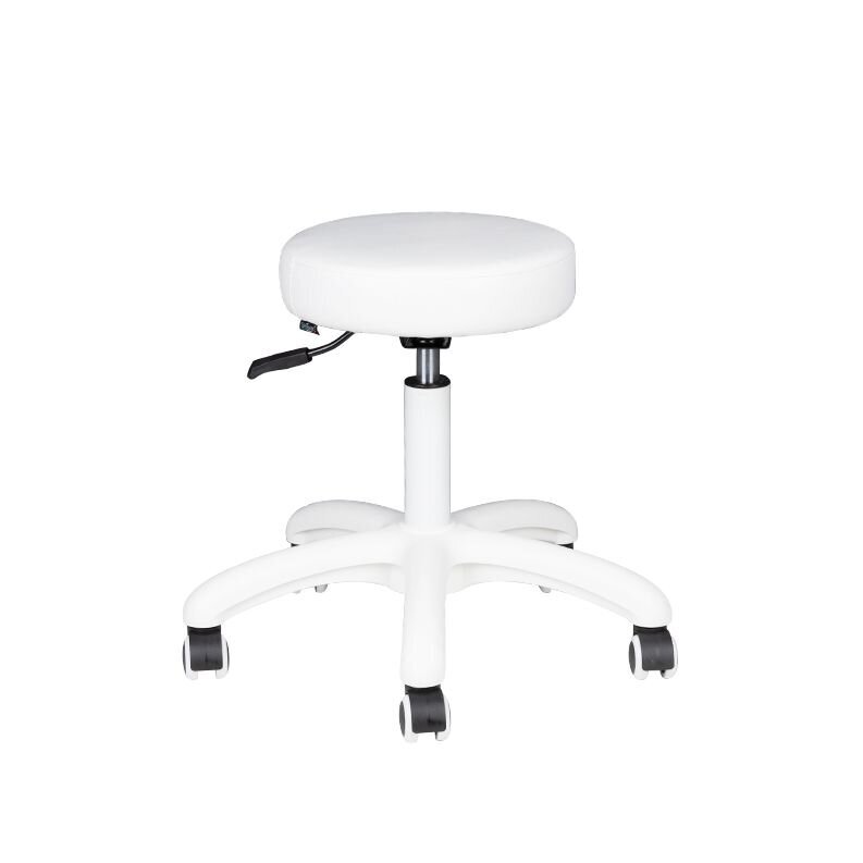 Professional master chair AM-303-2, white color Professional master chair AM-303-2, white color