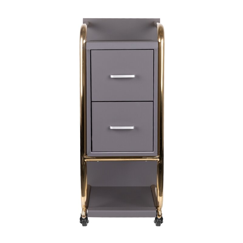 Professional beauty salon trolley GABBIANO SOLO, gray with gold frame 2