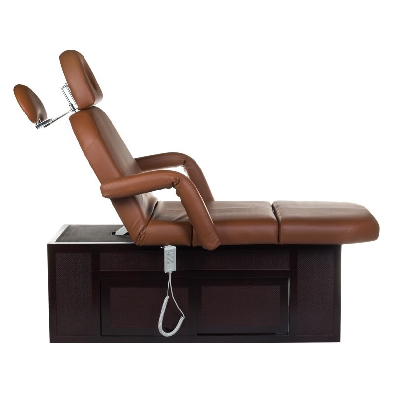 Professional bed-massage table SPA & WELLNESS 2009, brown color 4 Professional bed-massage table SPA & WELLNESS 2009, brown color 4
