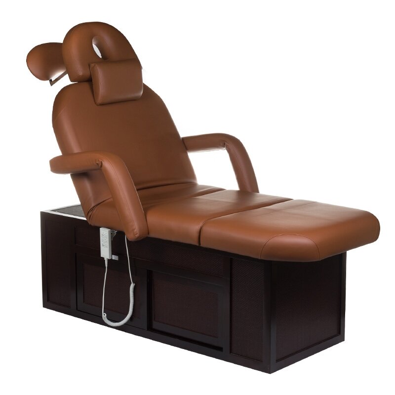 Professional bed-massage table SPA & WELLNESS 2009, brown color Professional bed-massage table SPA & WELLNESS 2009, brown color