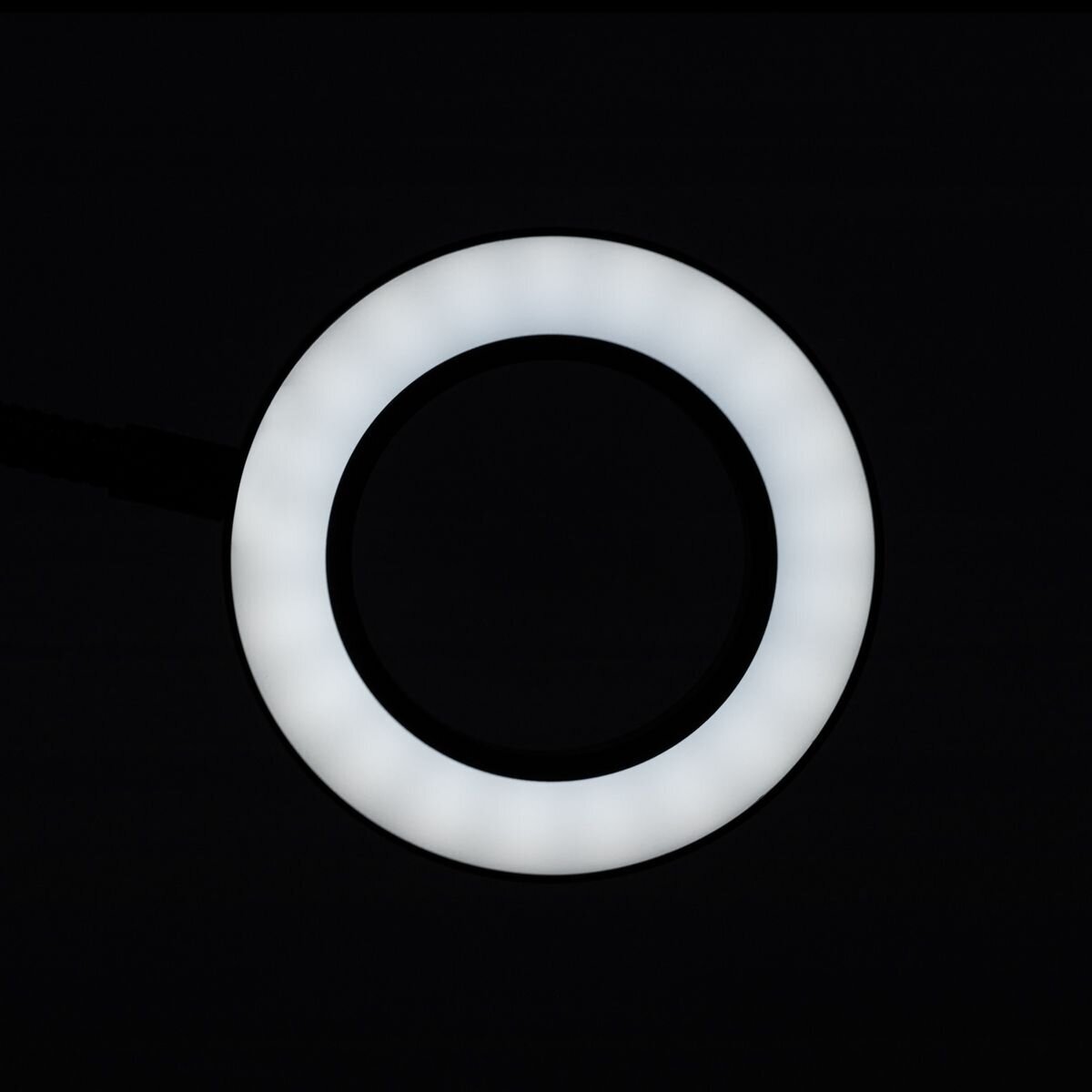 Table lamp LED SNAKE lemp, attached to the table 2